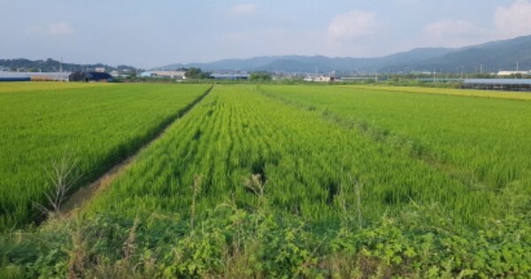 경기도 안성시 서운면 송산리 OOO 답 경매 물건 이미지