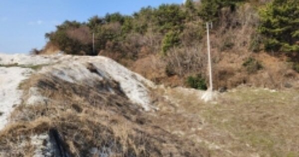 전라남도 여수시 묘도동 OO 답 경매 물건 이미지