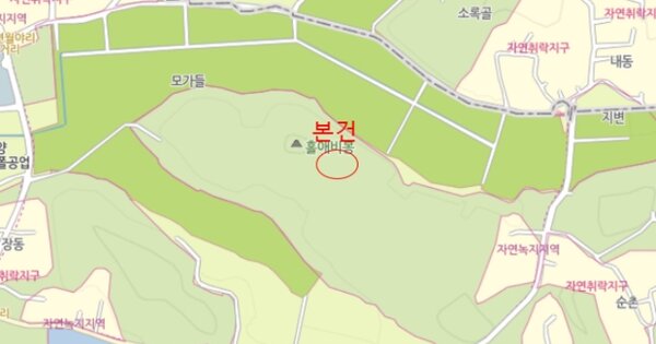 전라남도 함평군 월야면 월야리 OOOOO 임야 경매 물건 이미지