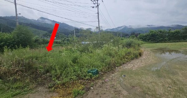 강원특별자치도 춘천시 동면 월곡리 OOO 답 경매 물건 이미지