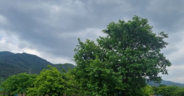 전라남도 여수시 율촌면 가장리 OOOOO O OOO 답 경매 물건 이미지