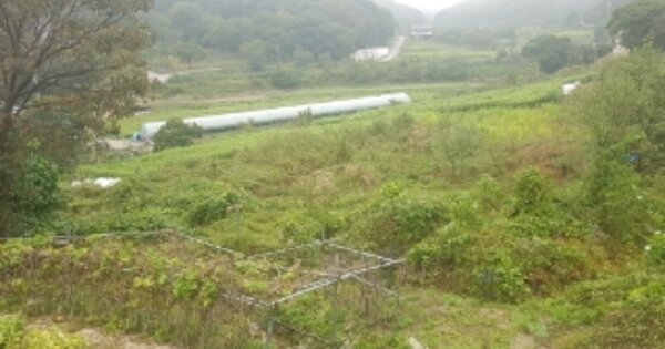 강원특별자치도 춘천시 동산면 원창리 OOOO 답 경매 물건 이미지