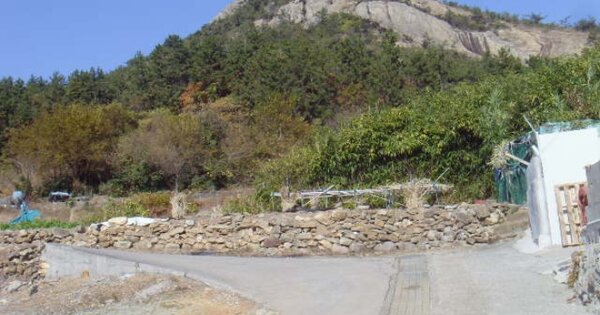 전라남도 완도군 금당면 차우리 OOOOO 대지 경매 물건 이미지