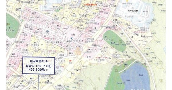 전라남도 무안군 무안읍 성동리 OOOOO 근린시설 경매 물건 이미지