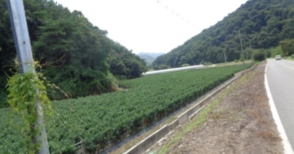 충청북도 괴산군 청천면 덕평리 OOO O OOO 답 경매 물건 이미지