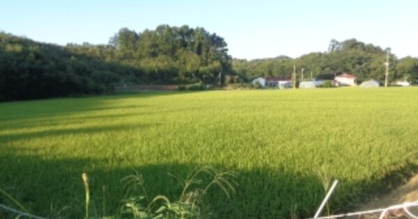 충청북도 괴산군 괴산읍 능촌리 OOO 답 경매 물건 이미지
