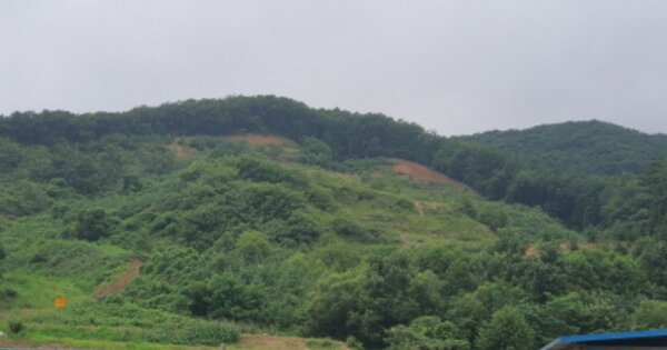 경기도 광주시 곤지암읍 건업리 OOOO 임야 경매 물건 이미지