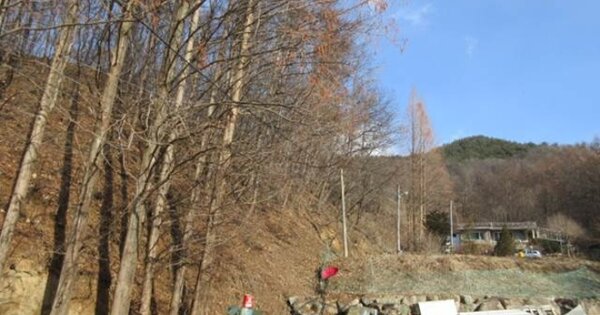 경상북도 문경시 산북면 대하리 O OO 임야 경매 물건 이미지