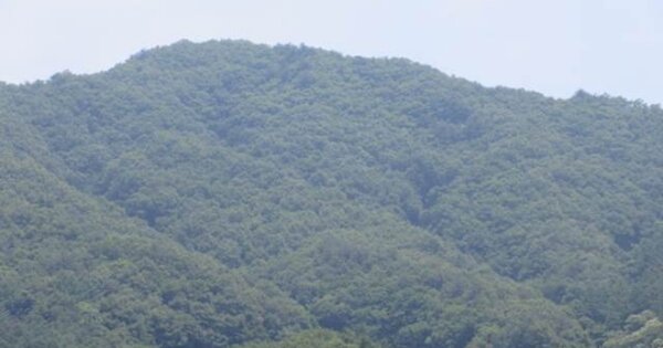 경상북도 문경시 동로면 적성리 OOO 임야 경매 물건 이미지