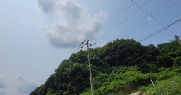 경기도 파주시 적성면 구읍리 OOOOO O OOO 임야 경매 물건 이미지