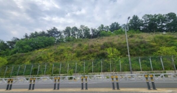 경상북도 안동시 정하동 OOOOO O OOO 임야 경매 물건 이미지