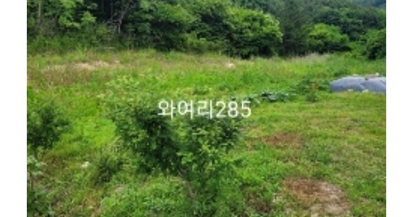 부산광역시 기장군 철마면 와여리 OOO 답 경매 물건 이미지