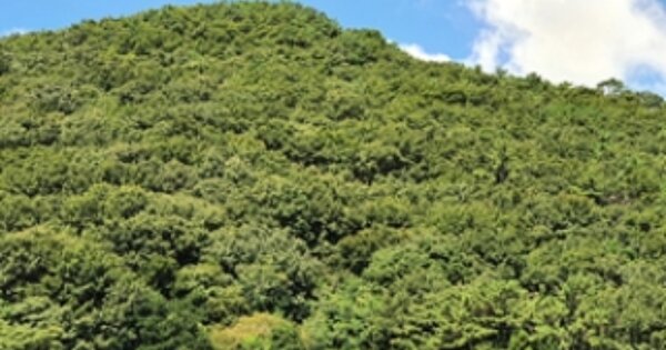 경상남도 창원시 진해구 북부동 OOOOO 임야 경매 물건 이미지