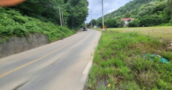 충청남도 금산군 진산면 읍내리 OOOOO 임야 경매 물건 이미지