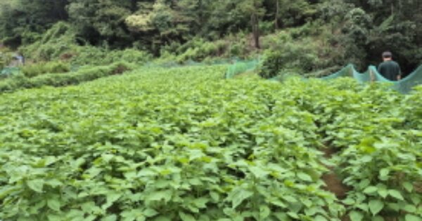 울산광역시 중구 유곡동 OOO 전 경매 물건 이미지