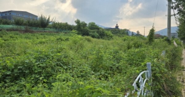 경상북도 칠곡군 약목면 복성리 OOOOO O OOO 전 경매 물건 이미지