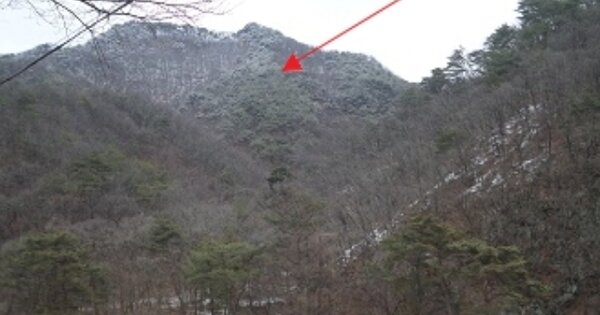 강원특별자치도 원주시 문막읍 취병리 OOO 임야 경매 물건 이미지