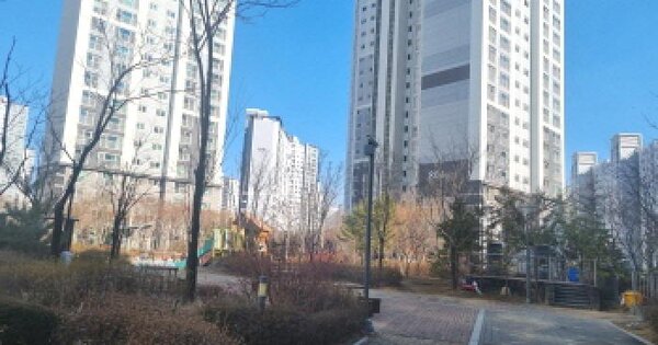 세종특별자치시 고운동 1706 가락마을8단지 803동 OOOOOO 아파트 경매 물건 이미지