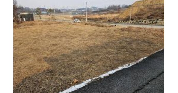 충청북도 진천군 덕산읍 용몽리 OOOOOO 임야 경매 물건 이미지