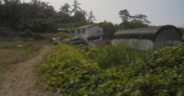 전라북도 군산시 옥도면 무녀도리 OOOOO 잡종지 경매 물건 이미지