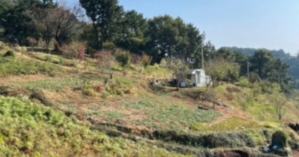 경상남도 남해군 미조면 송정리 OOOOO 전 경매 물건 이미지