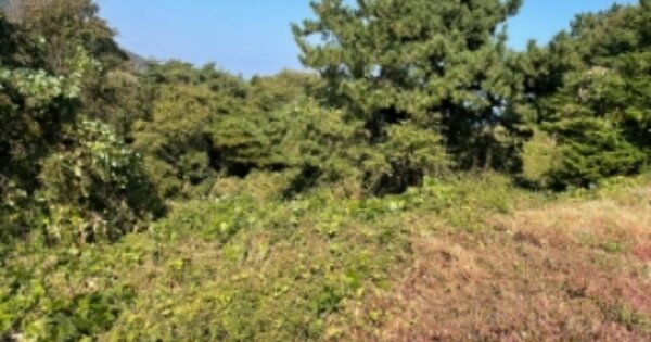 경상남도 남해군 미조면 송정리 OOOOO 전 경매 물건 이미지