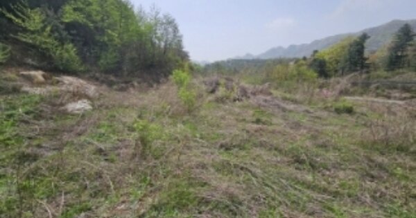 충청북도 단양군 적성면 기동리 OOOOO 전 경매 물건 이미지