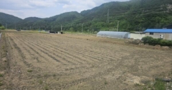 충청북도 단양군 단성면 가산리 OOOOO 답 경매 물건 이미지