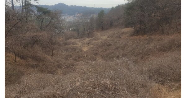 전라남도 여수시 율촌면 월산리 OOO 답 경매 물건 이미지