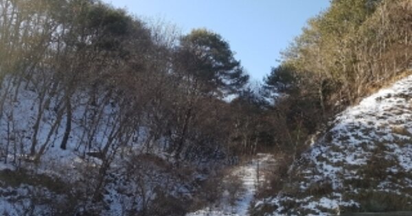 강원특별자치도 춘천시 사북면 고성리 OOO 임야 경매 물건 이미지