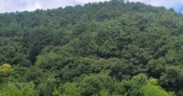 경상남도 통영시 산양읍 풍화리 OOOOOO 전 경매 물건 이미지