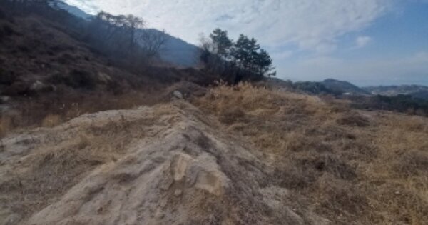 경상남도 남해군 서면 중현리 OOOOO O OOO 목장용지 경매 물건 이미지