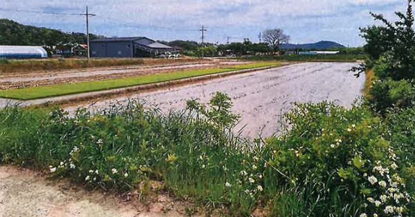 경상북도 포항시 북구 송라면 상송리 OOO 답 경매 물건 이미지