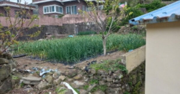 경상남도 남해군 창선면 진동리 OOO O OOO 단독주택 경매 물건 이미지