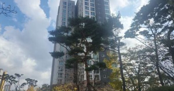 인천광역시 서구 청라동 193-1 청라자이 110동 OOOOOOOO 아파트 경매 물건 이미지