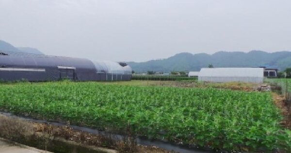 강원특별자치도 영월군 주천면 주천리 876-5 답 경매 물건 이미지