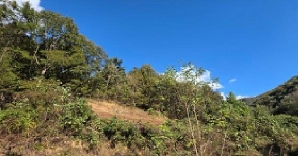 충청남도 예산군 대술면 이티리 산148 임야 경매 물건 이미지
