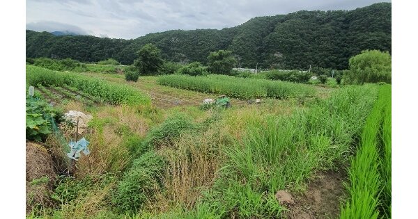 울산광역시 울주군 언양읍 반송리 452-2 답 경매 물건 이미지