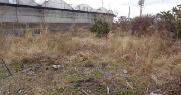 제주특별자치도 서귀포시 안덕면 서광리 1496-1 전 경매 물건 이미지