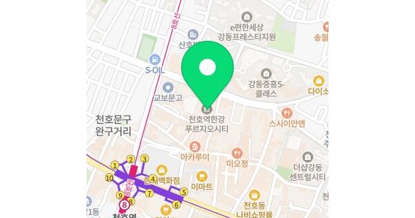 서울특별시 강동구 천호동 425-3 천호역한강푸르지오시티  9층919호 미지정 경매 물건 이미지