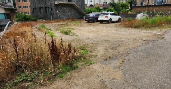 경기도 남양주시 화도읍 가곡리 235-1  미지정 경매 물건 이미지