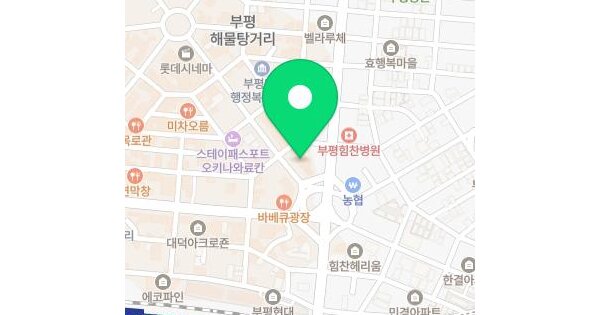 인천광역시 부평구 부평동 560-2 웰링턴  7층705호 미지정 경매 물건 이미지