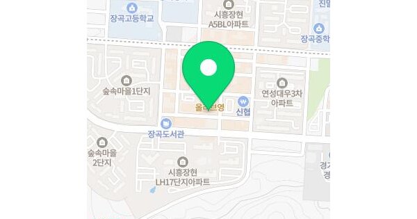 경기도 시흥시 장곡동 817-5  3층301호 미지정 경매 물건 이미지