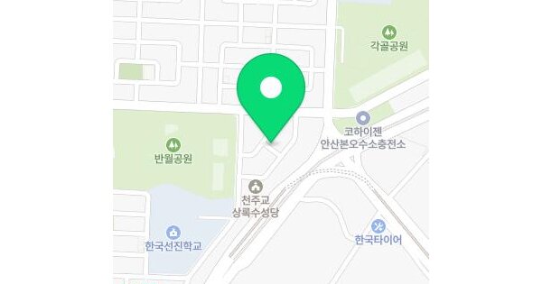 경기도 안산시 상록구 본오동 725-5  지하층103호 미지정 경매 물건 이미지
