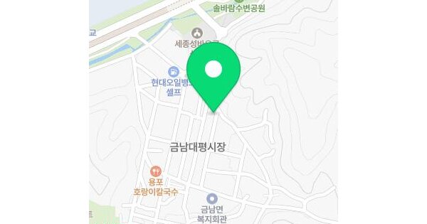 세종특별자치시  금남면 용포리 180-5  1층101호 미지정 경매 물건 이미지