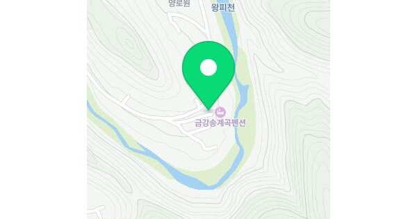 경상북도 울진군 금강송면 왕피리 39-3  미지정 경매 물건 이미지