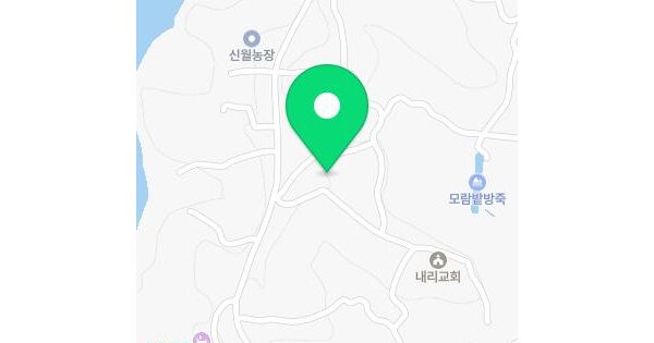 전라남도 무안군 운남면 내리 813  미지정 경매 물건 이미지