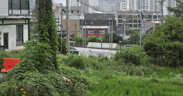 경기도 오산시 세교동 532  미지정 경매 물건 이미지