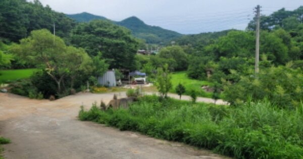 경상북도 성주군 월항면 지방리 237-2 전 경매 물건 이미지