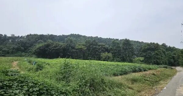 경기도 안성시 미양면 강덕리 87-6 답 경매 물건 이미지